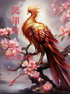 鳳翎傳